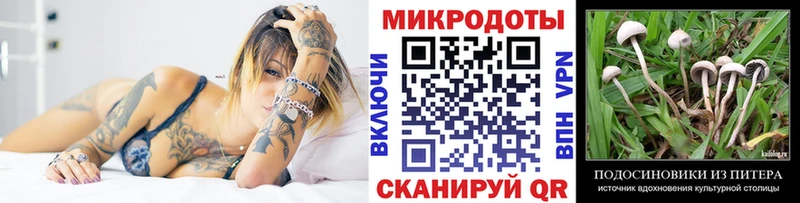 цена mega tor Галлюциногенные грибы Cubensis Салаир